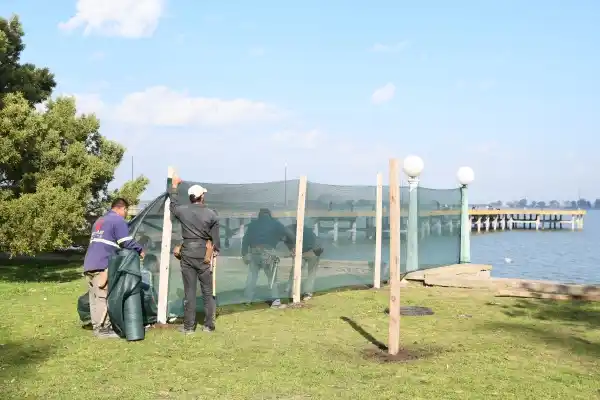 Comienzan las obras de reconstrucción de las murallas de la costanera