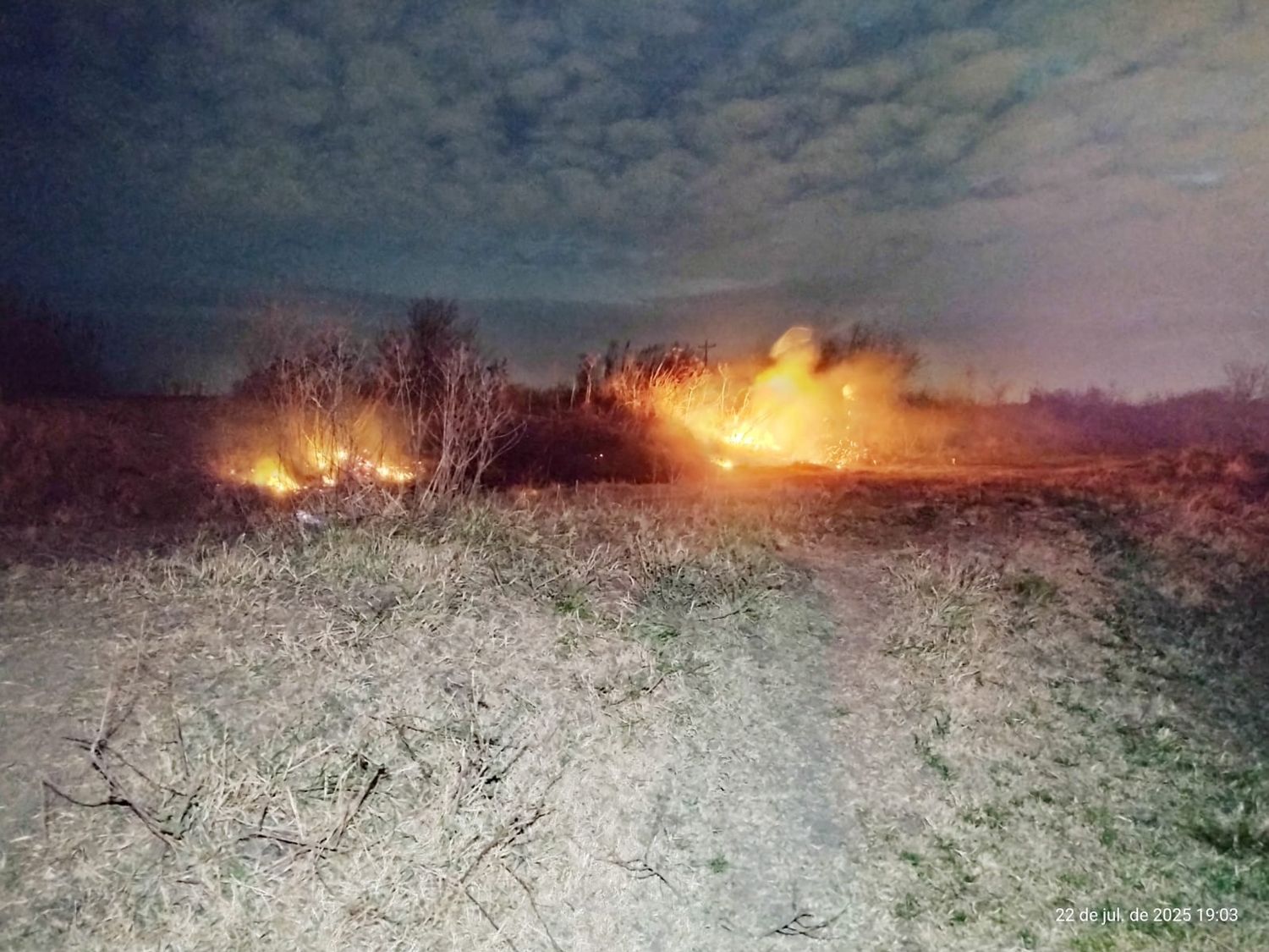 incendio pastos