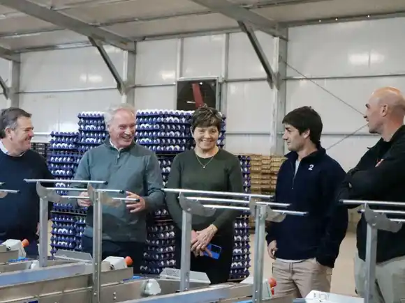 La obra de electrificación en el departamento Gualeguay presenta un avance del 58 por ciento