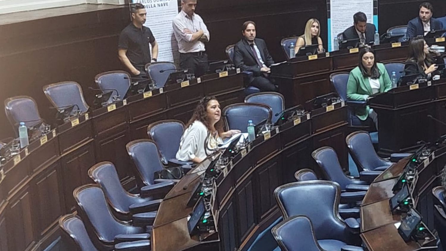 Susana González "dio la cara" por la falta de quórum y cruzó a LLA: "Son picantes en redes pero acá no saben ni leer"
