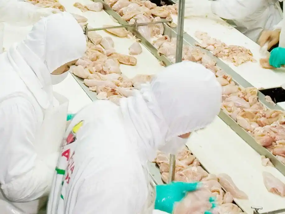 En 20 días Argentina vuelve a vender cortes de carne de pollo a europeos