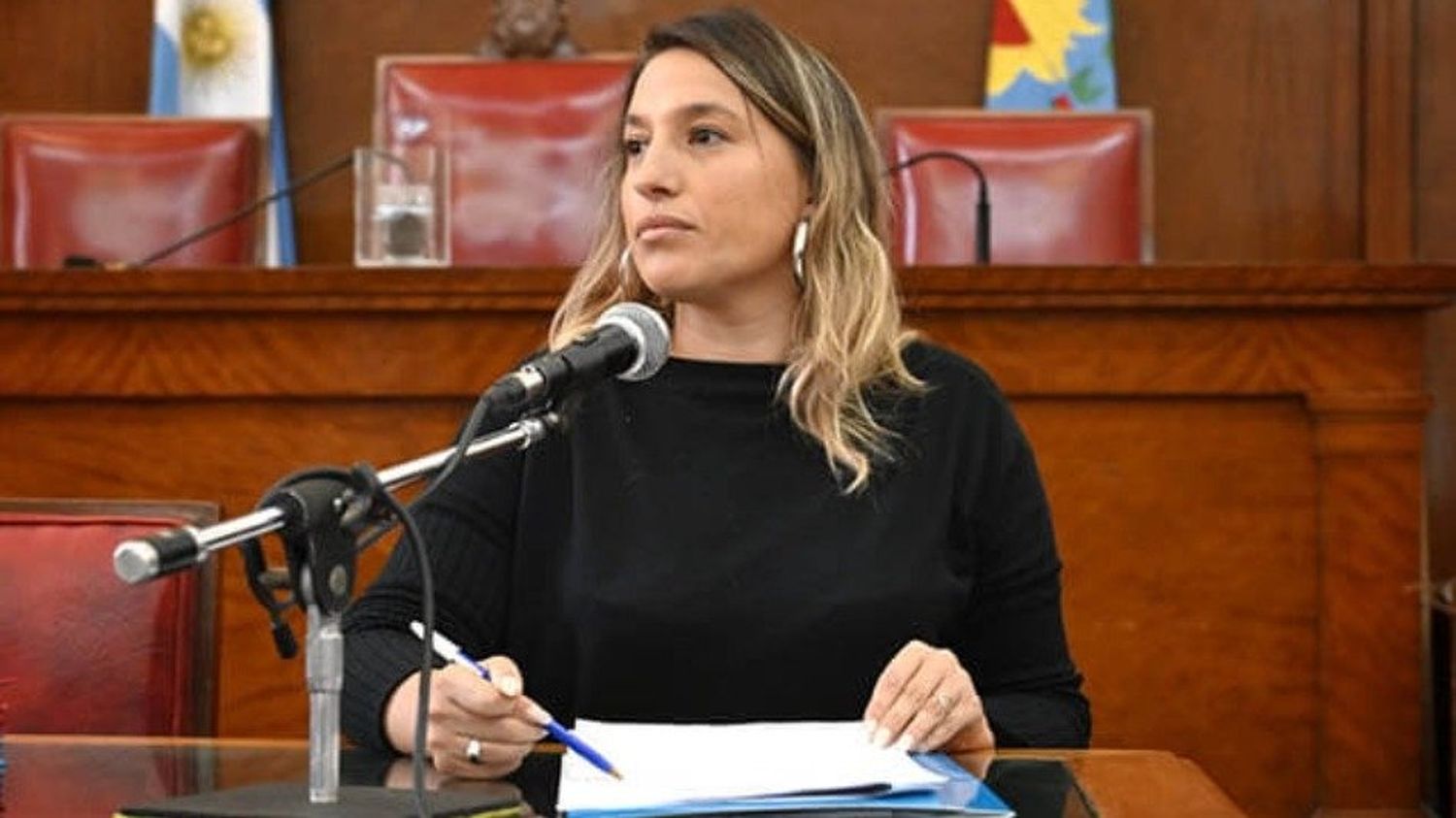 La propuesta fue presentada por la presidenta del bloque de concejales de Unión por la Patria, Mariana Cuesta.