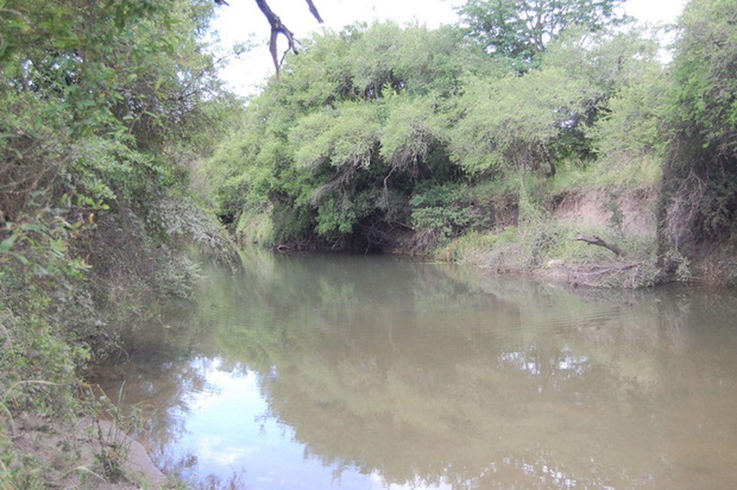 Refugio del monte entrerriano y la avifauna
