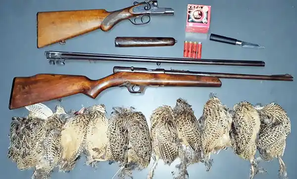 Padre e hijo aprehendidos con armas largas en la ruta