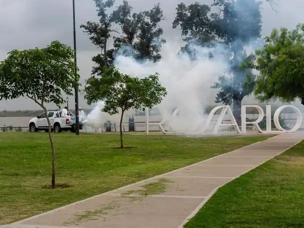 El municipio continuará esta semana con los operativos de fumigación en plazas y espacios verdes