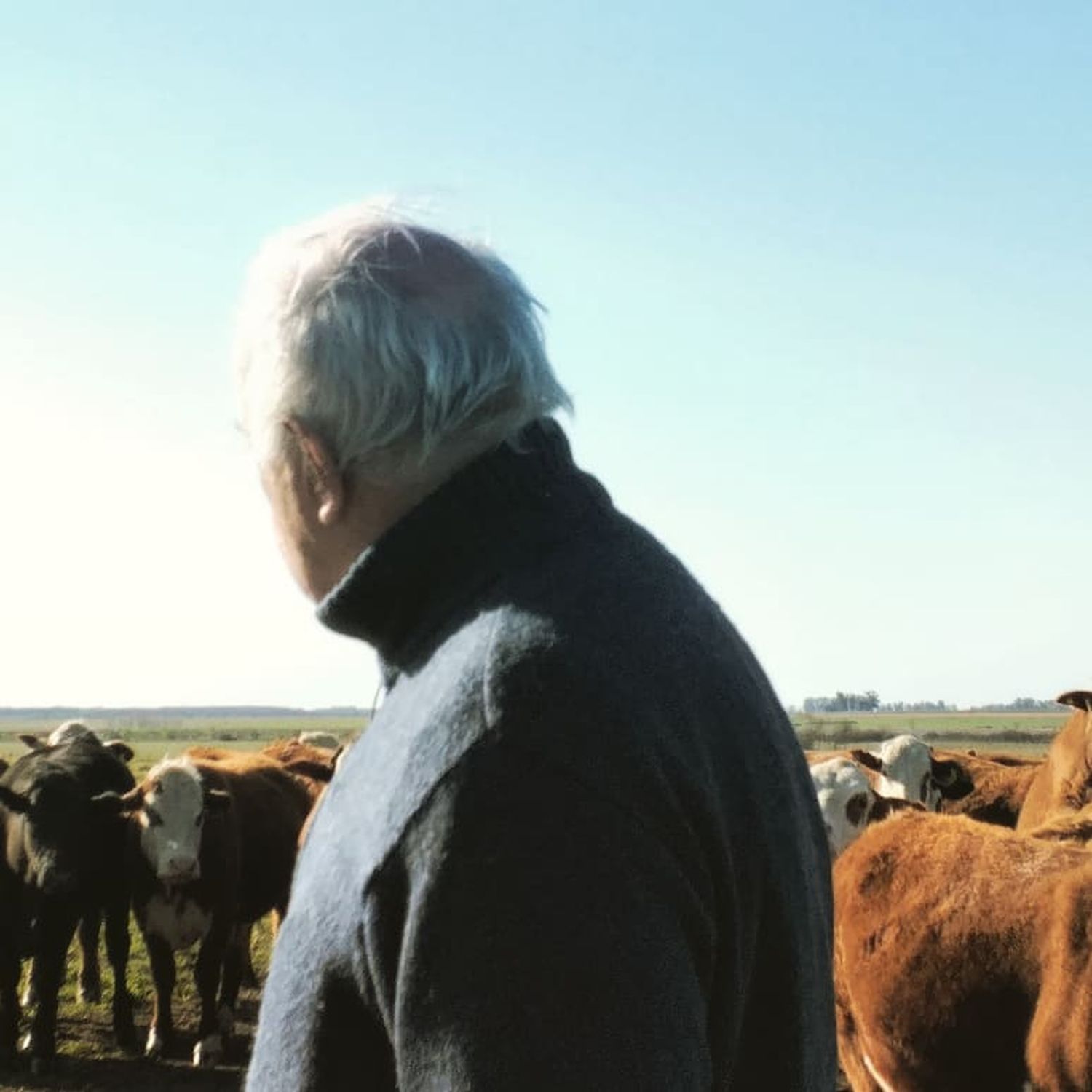 Día del Veterinario: Horacio y Carla Quattrochi 