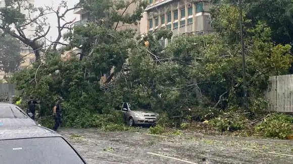 No fue un palo de agua normal, fue un TORNADO GRADO 1 lo que pasó por Chacao el #20Oct (+Detalles)