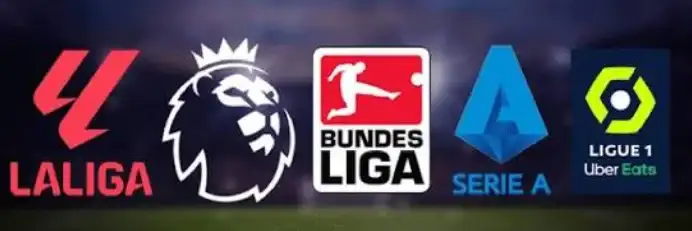 Las principales Ligas de Inglaterra, Alemania, España, Italia y Francia entre las que más protagonistas llevó a la competición.
