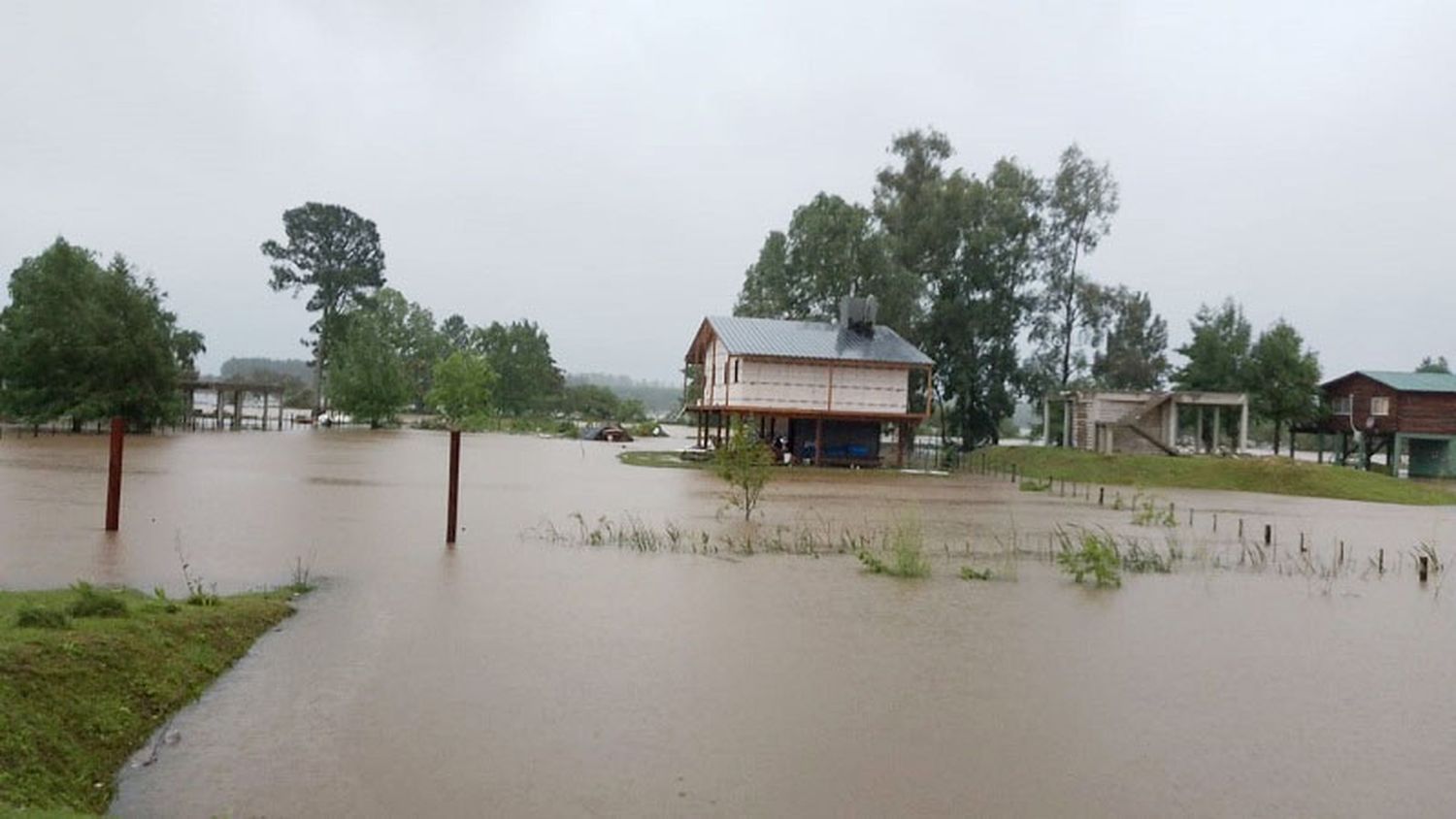 Se profundiza la evacuación de ganado vacuno en Villa Paranacito e Islas