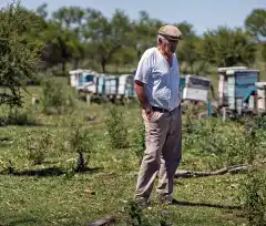 Las fumigaciones cobran nuevas victimas: los hermanos Milezi