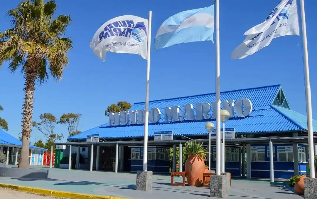 Vacaciones de invierno imperdibles en Mundo Marino con 50% de descuento para Chascomús y la región
