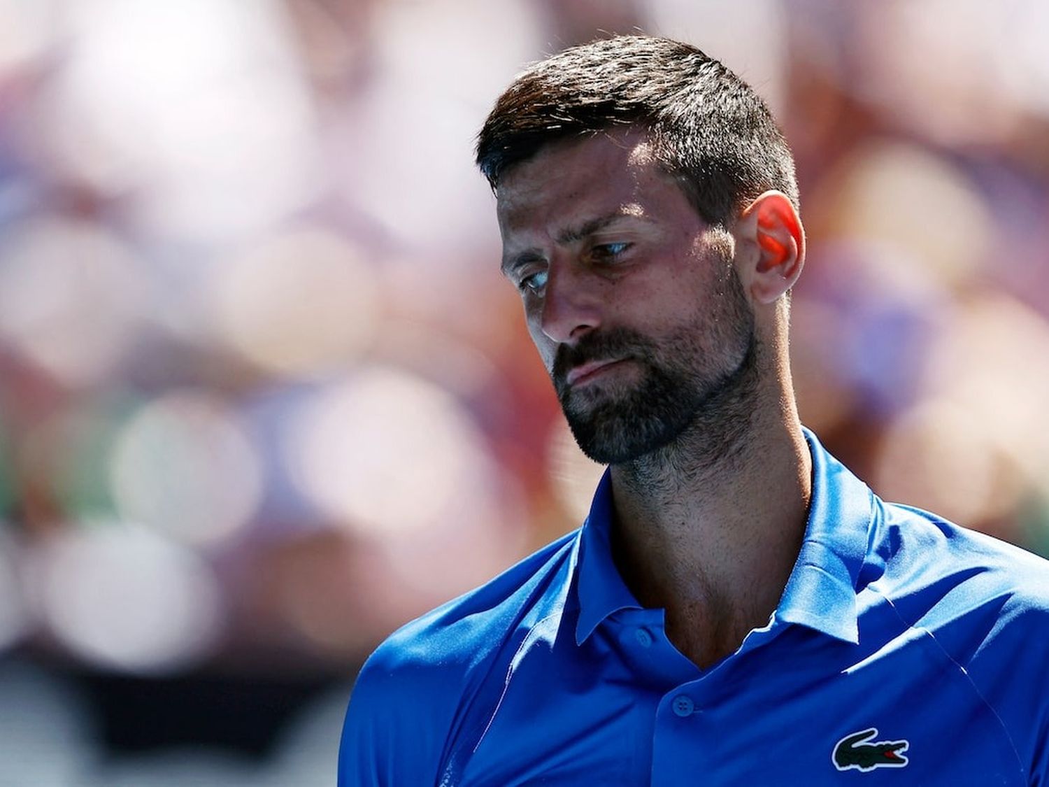 Djokovic no pudo lograr el título 100 de su carrera