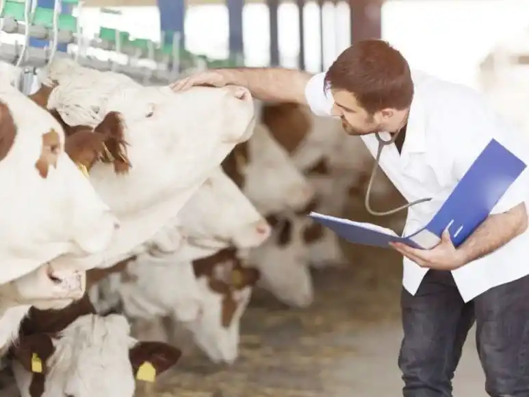 Gualeguaychú será sede del Congreso Nacional de Fundaciones y Entes Sanitarios