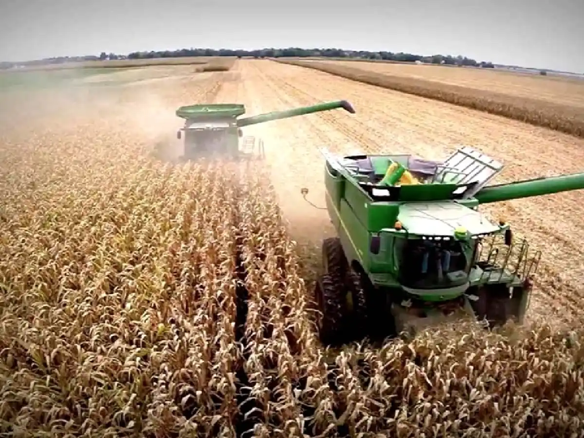 Los precios mundiales de los alimentos se acercaron a los máximos en una década