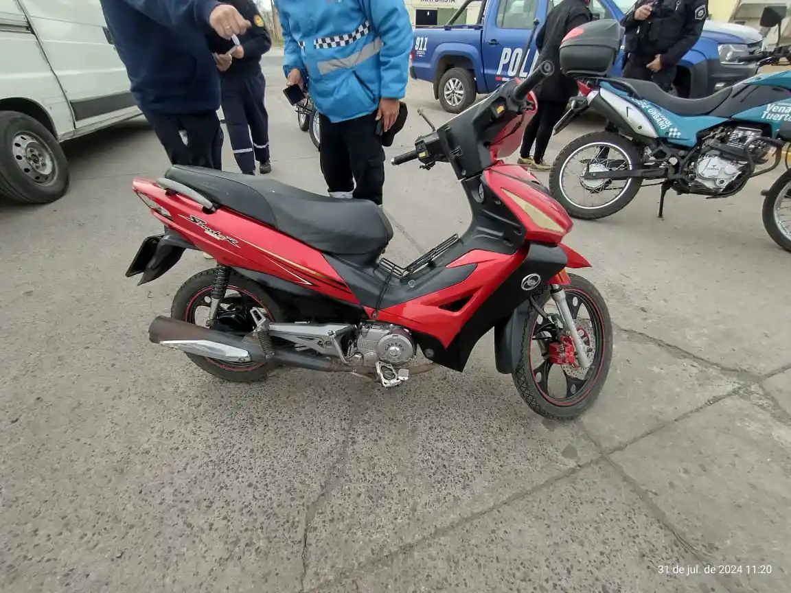 accidente venado - 2