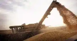 La suba del gasoil le costará al campo hasta $ 5800 millones extras