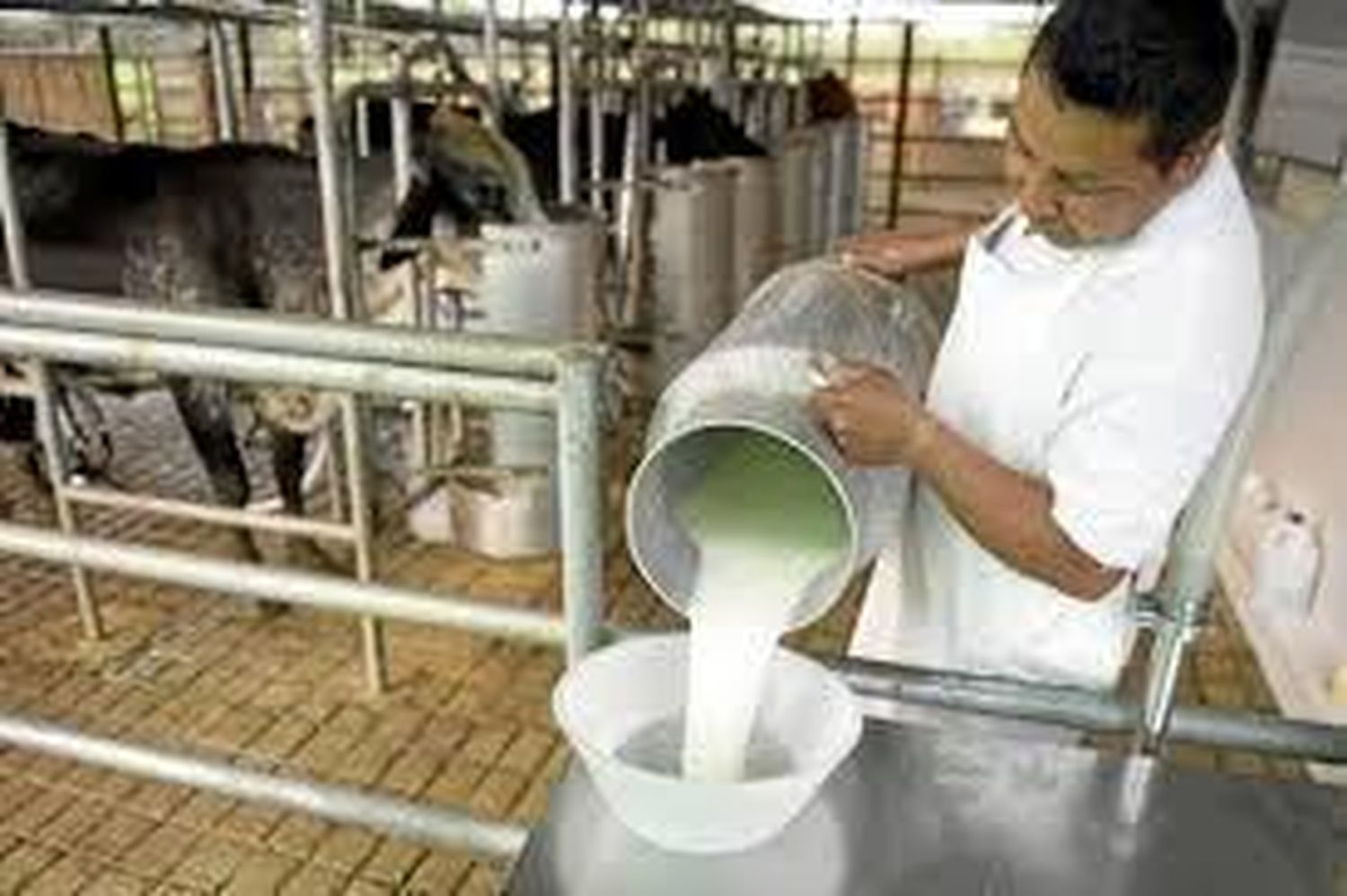 “La crisis llegó a las industrias”, afirmó el Presidente de la Cámara de Productores Lecheros 