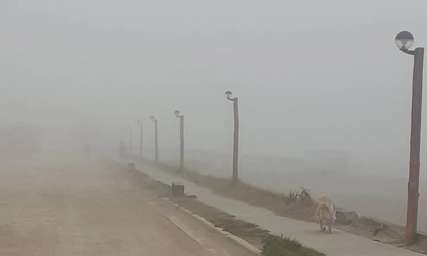 Amanecer con niebla en la costanera de Claromecó