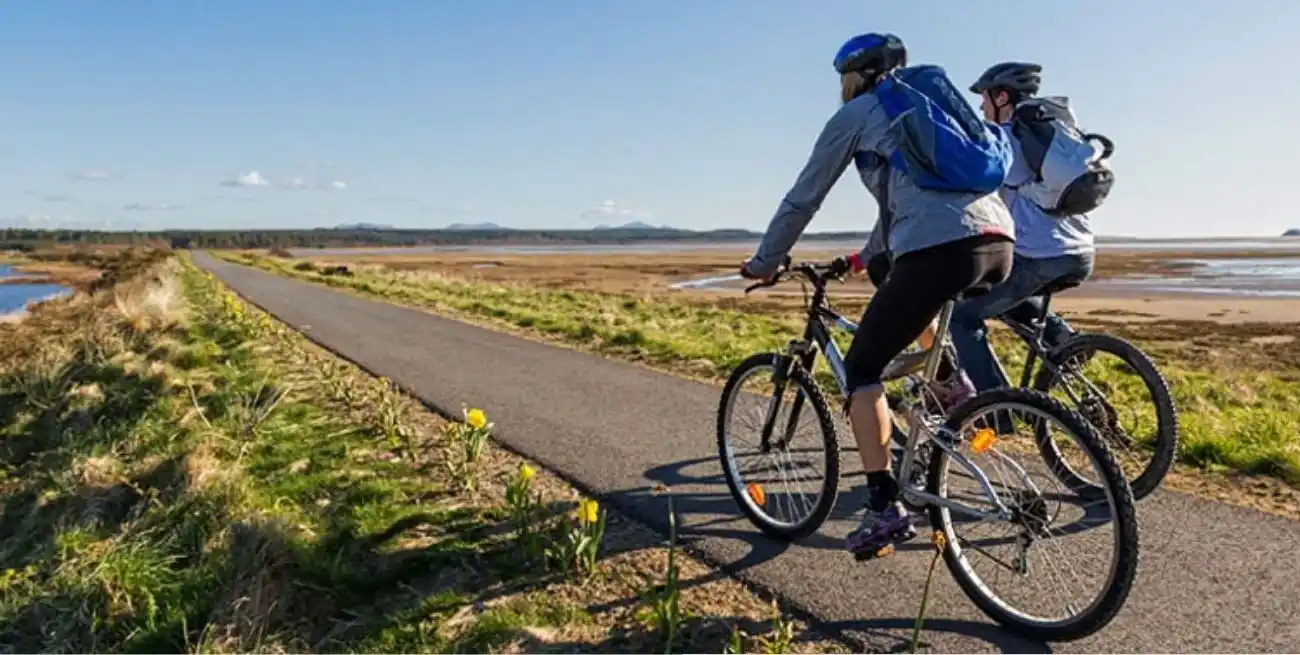 Con el 2024 llegando a su fin, muchas familias ya están pensando en los últimos feriados del año.