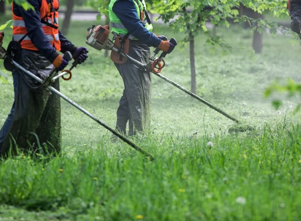 El mantenimiento de los espacios públicos en la mira de los vecinos