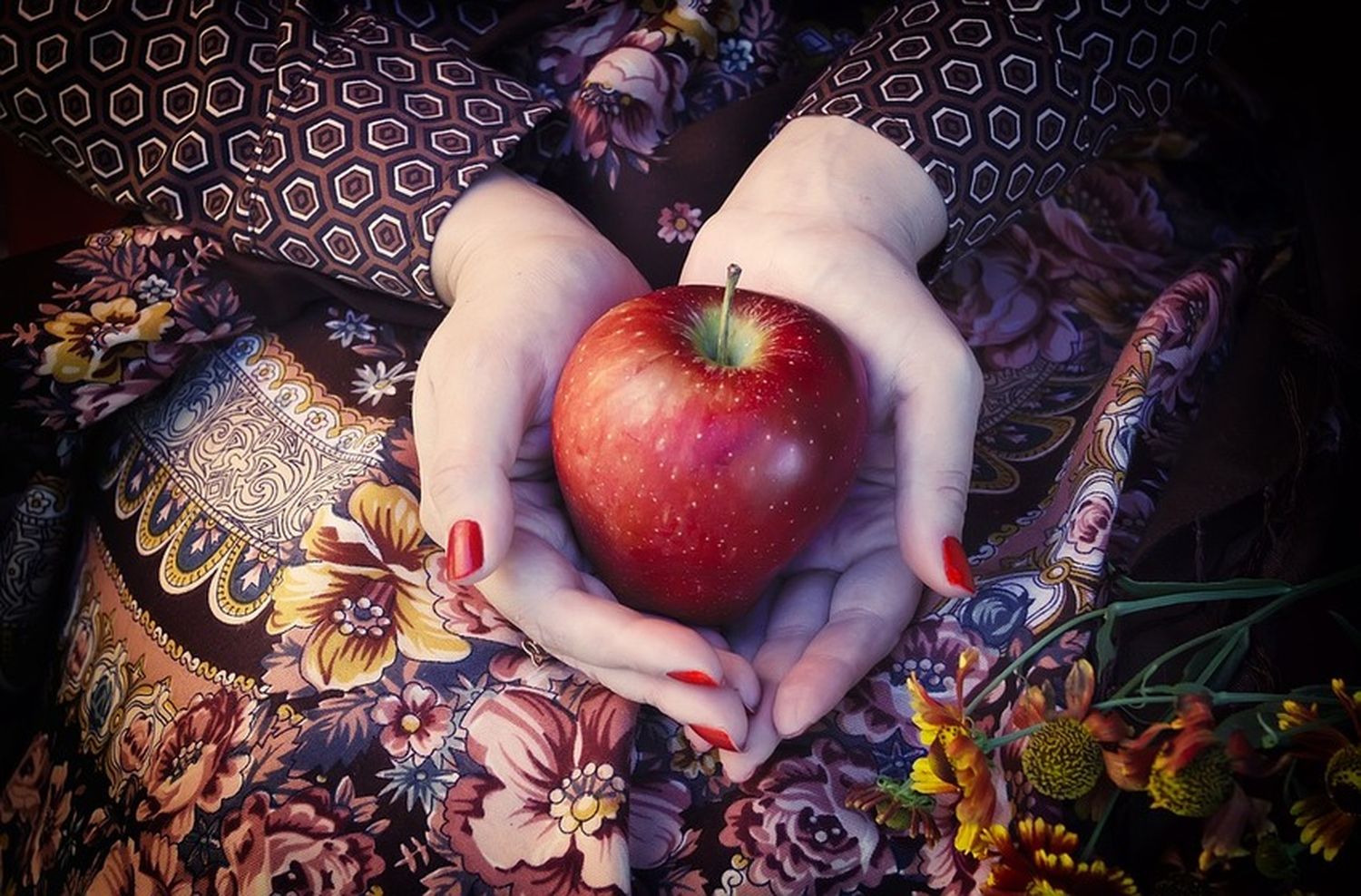 10 alimentos con alto valor nutritivo