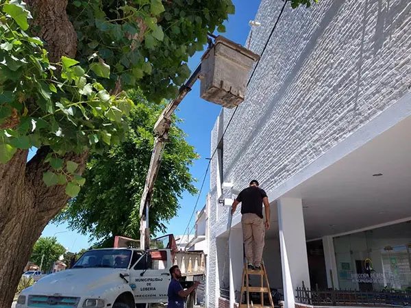 Pintura en Ingresos Públicos y arbolito navideño en la comuna