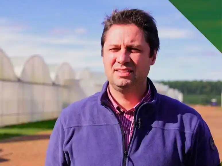 El sector pecanero celebra la apertura del mercado chino y se prepara para su encuentro más importante en Concordia