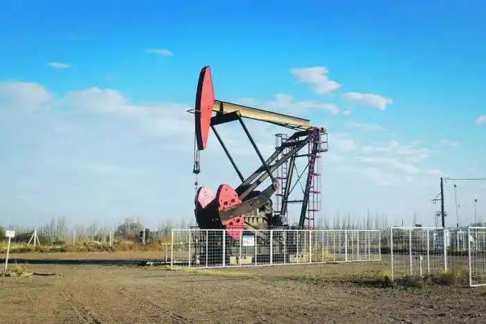 Vaca Muerta llegará a producir 235.000 barriles de petróleo por día