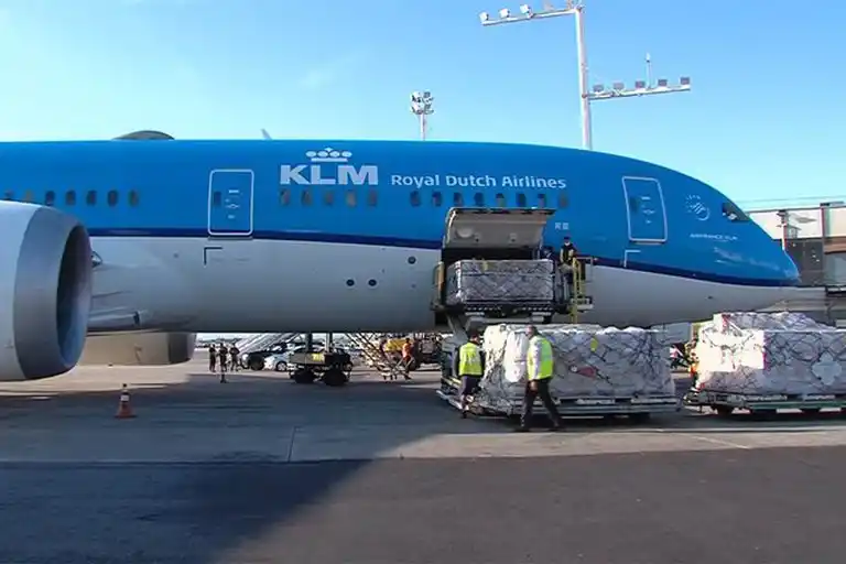 Llegaron 218.000 dosis de vacunas Oxford AstraZeneca del fondo Covax