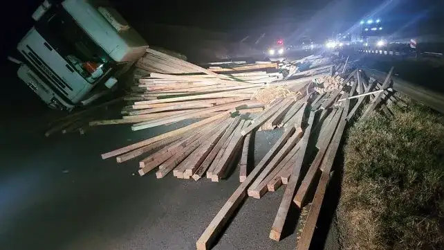 Vuelco de un camión con maderas en ruta 12