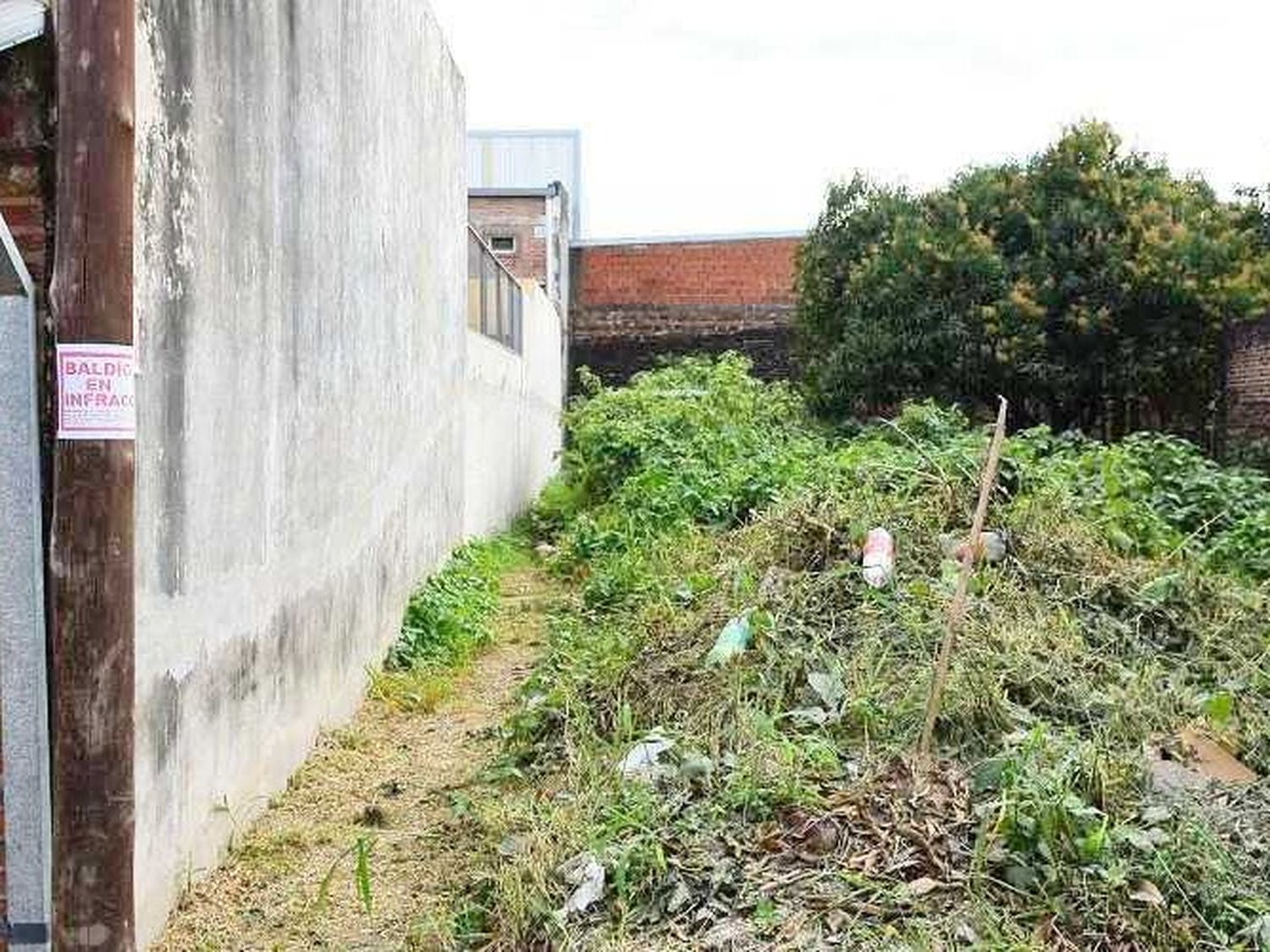 Desde el Municipio instan a mantener la
limpieza de baldíos e inmuebles deshabitados