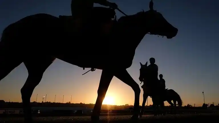 Confirmaron el primer contagio humano de encefalitis equina luego de 20 años sin registro