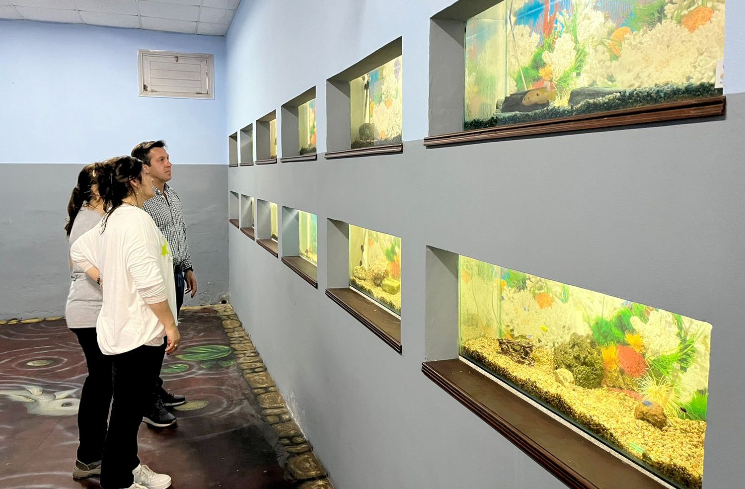 Peceras.