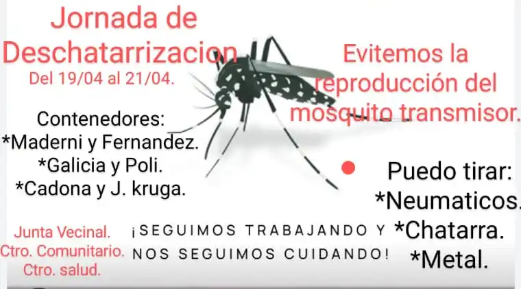 cerro leones dengue