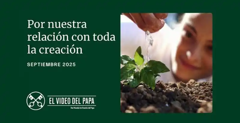 En septiembre, el Papa reza por la relación del ser humano con la creación