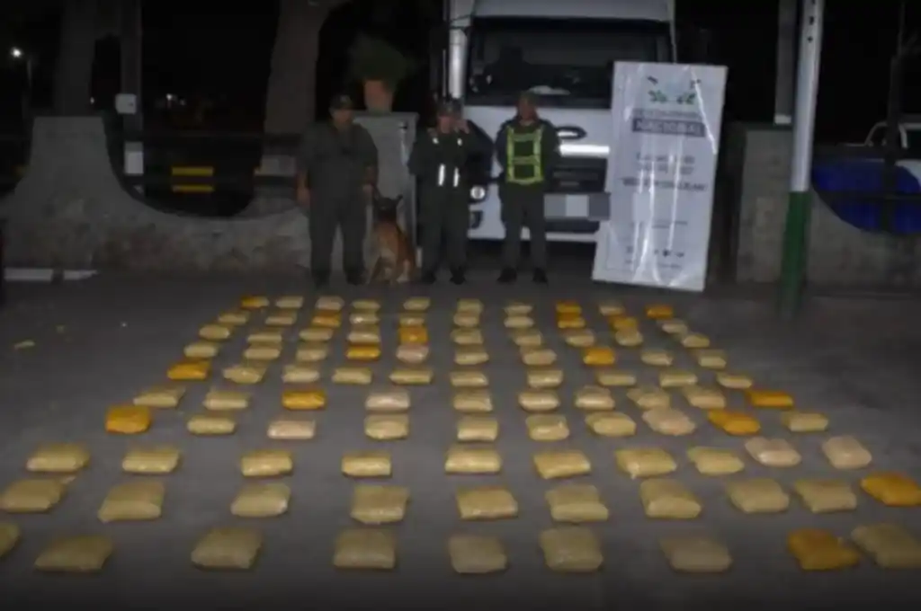 Lo confiscado en el operativo.