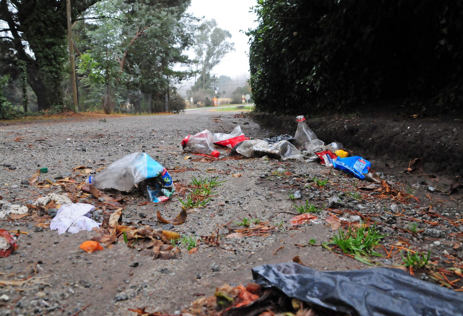 Vecinos de la zona de El Centinela denuncian que 
los contenedores agravaron la situación de la basura