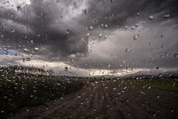 Lluvias históricas paralizan la siembra de trigo en el corazón agrícola argentino