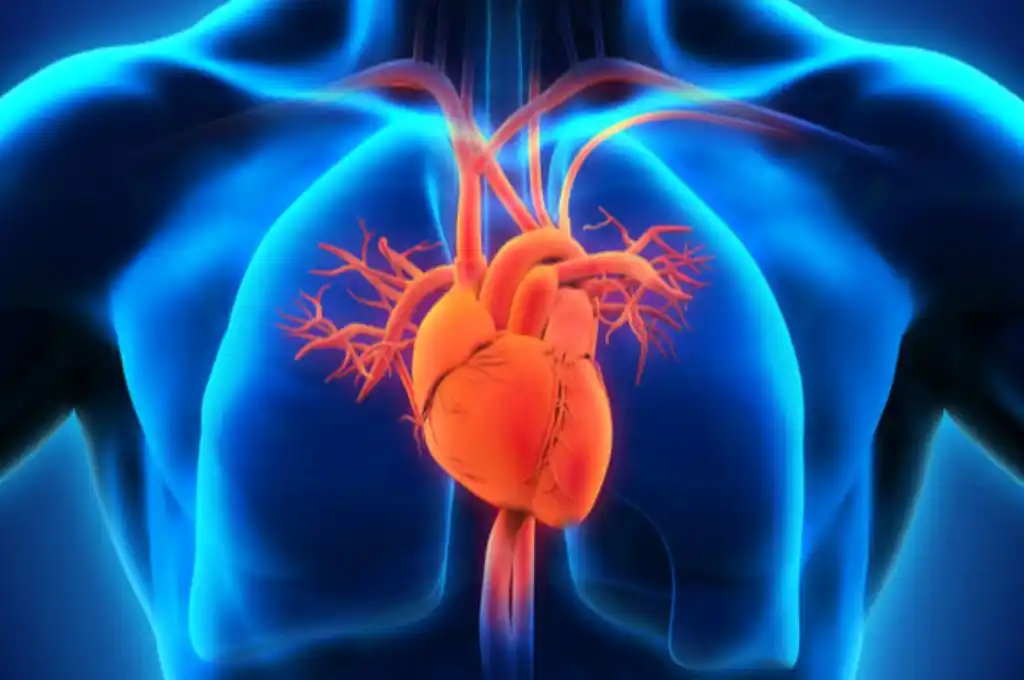 Qué es pericarditis, la afección que le detectaron a “Pity” Martínez