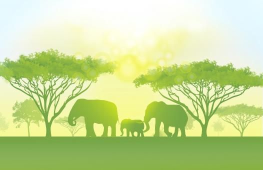 ¡ELEFANTES LIBRES! la petición mundial que conmemora su día
