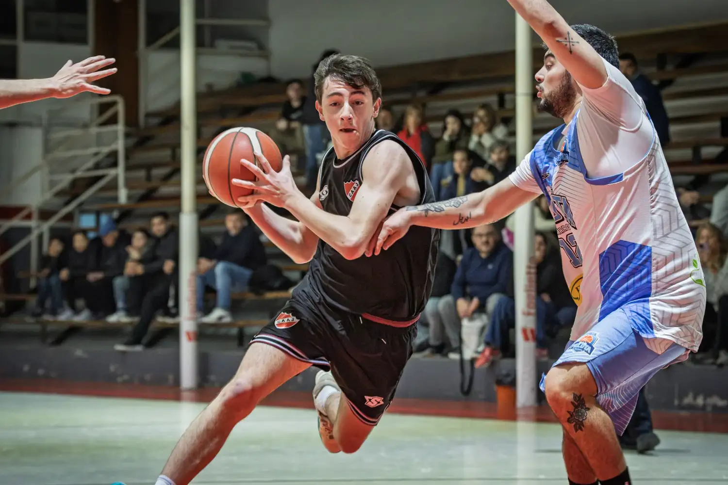 cdp-argentino - 8