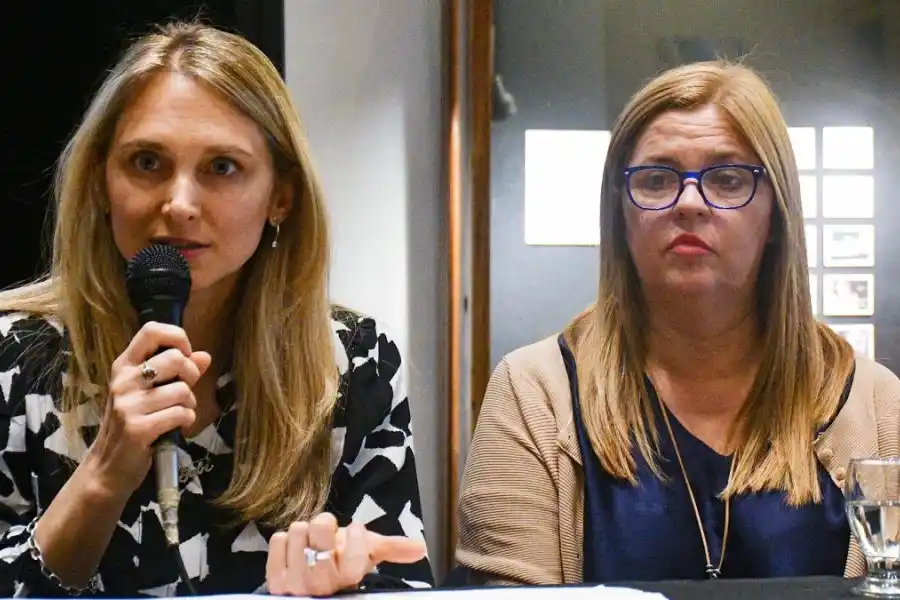 Gabriela Brouwer durante la presentación de un trabajo sobre violencia sexual infantil.