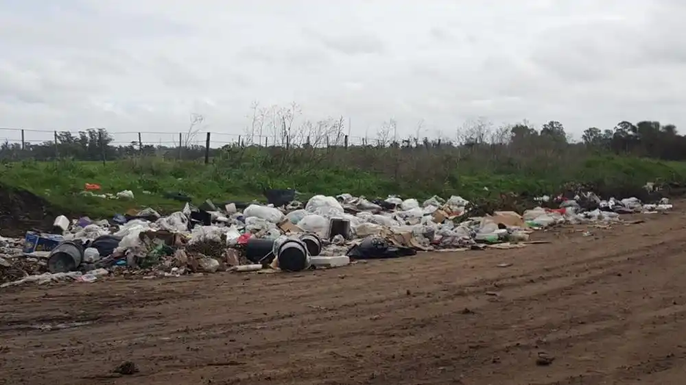 Acumulación de residuos en Circunvalación 