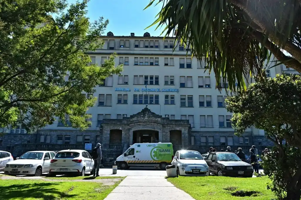 Hospital Interzonal General de Agudos (HIGA).