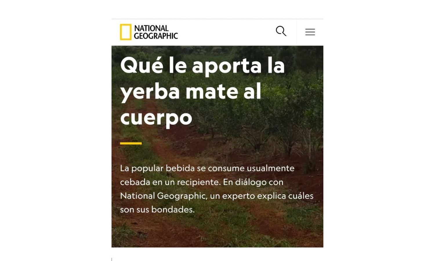 La yerba mate, nuevamente en las páginas de National Geographic