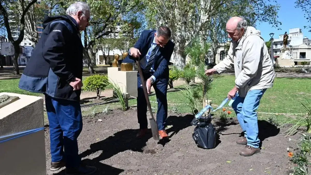 Plantaron un retoño del histórico Pino de San Lorenzo en la Plaza San Martín