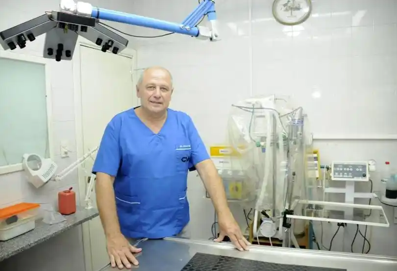 Sappia dijo que los dogos no son perros agresivos 