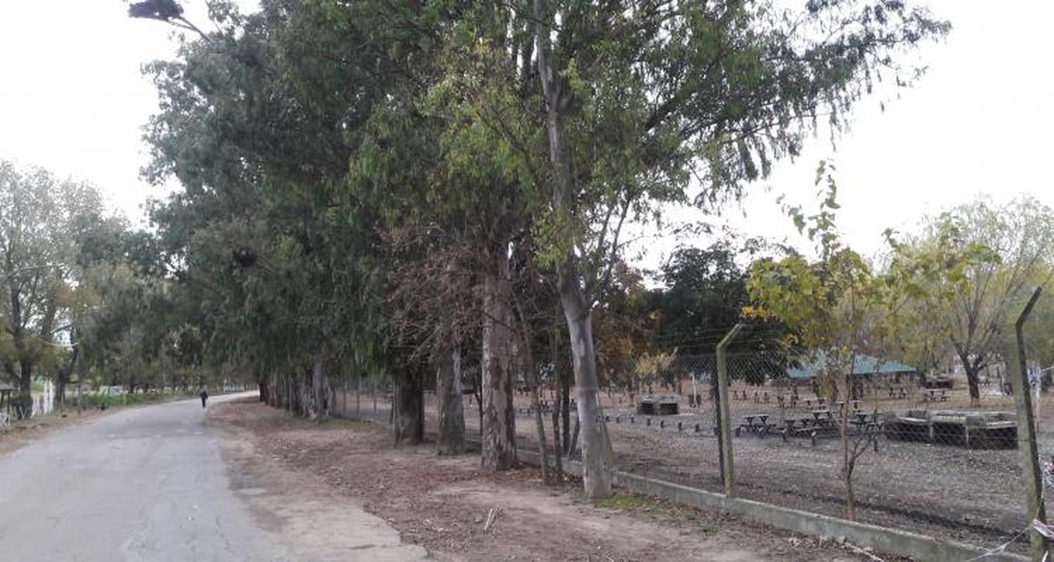 Trabajos para recuperar todos los sectores de la costa