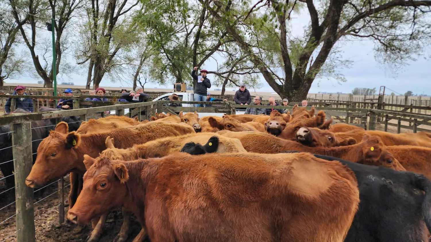 Volumen, manos y valores en San Cayetano