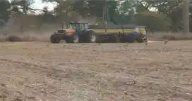 Nutrición del cultivo de trigo, desde la semilla